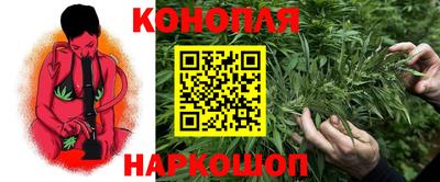 МДПВ Долгопрудный
