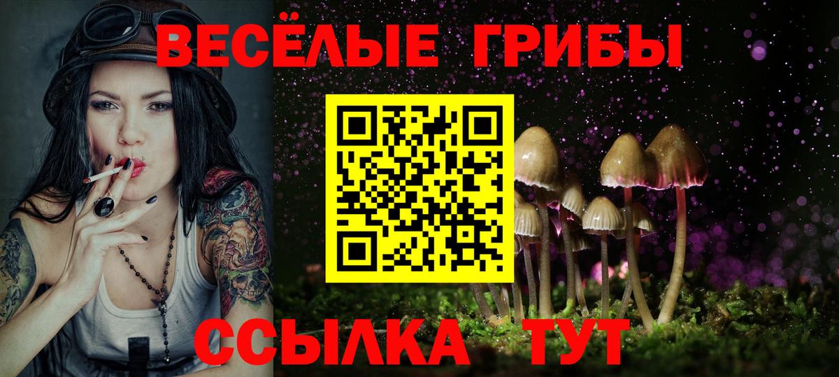 Борзя  Псилоцибиновые грибы GOLDEN TEACHER  Вход с VPN 